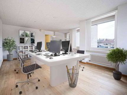 helle, grosszügige Büro- und Gewerberäume an idealer Lage 1/1