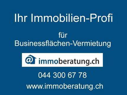 Attraktive Gewerbefläche in Hägendorf – Ideal für Ihr Unternehmen! 1/5