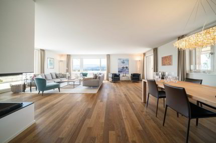 Appartement de 4.5 pièces en location à Meilen - 204 m² 1/5