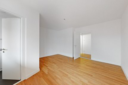 Appartement de 1 pièce en location à Zürich - 25 m² 1/3