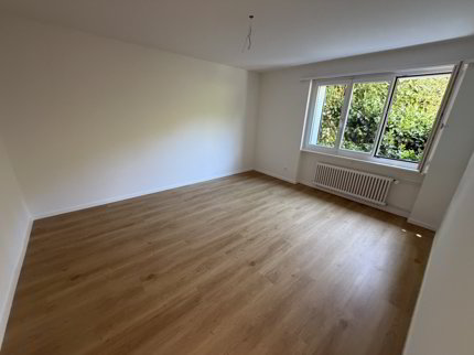 Neu sanierte 4-Zimmer Gartenwohnung, Zollikerberg 1/5