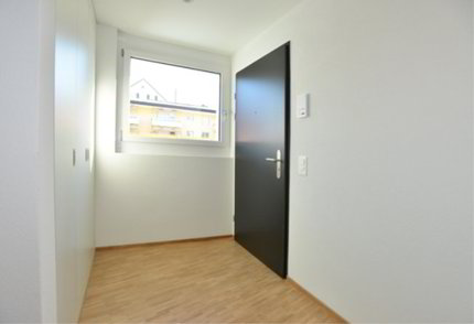 Attraktive Wohnung in Hinwil 1/1
