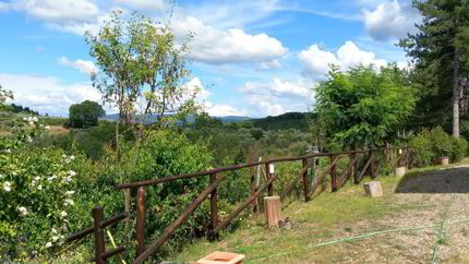 CASA INDIPENDENTE A BARBERINO - CHIANTI 1/5