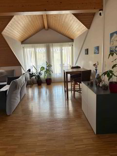 sehr schöne und grosse 3.5 Zimmer-Dachwohnung 1/5