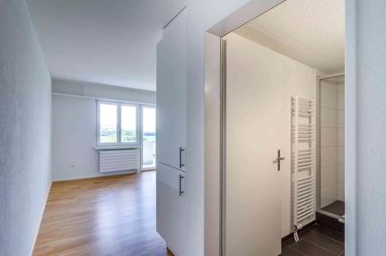 1 Zimmer Wohnung in Bronschhofen 1/5