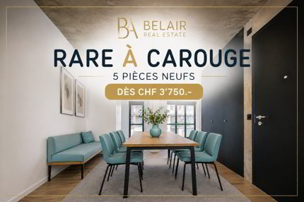 RARE à Carouge - 5pièces à louer 1/1
