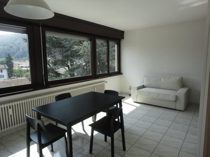 Appartement de 1.5 pièces en location à Via Grütli 7 1/5