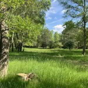 Terrain en vente à SALERNES - Réf MF/20233/6 1/1