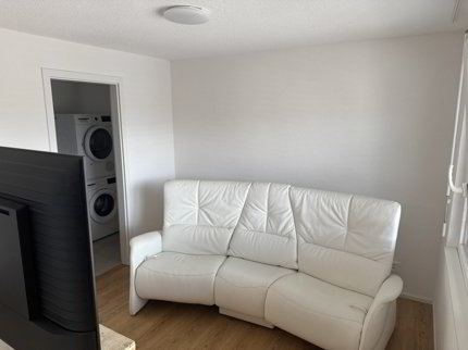 ARI-0826 - Appartement moderne de 2,5 pièces avec colonne de machines à laver/à sécher - Reprise de bail 1/5