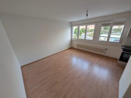 TOP 1.5-pièce Appartement rénové 1/3