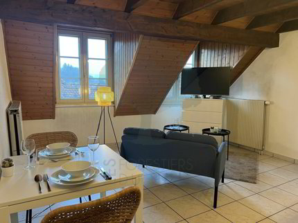 Charmantes Apartment mit Mezzanin in der Altstadt von Porrentruy 1/5