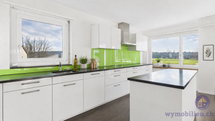 Duplex de 4.5 pièces en vente à Oberönz - 110 m² 1/5