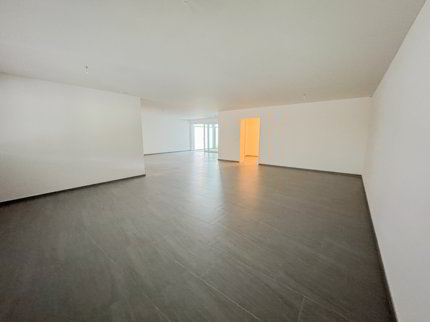 Raum für Ihre Geschäftsidee - Ihr neuer Gewerbestandort in Seengen 1/5