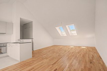 Letzte Attika-Wohnung zu vermieten! 1/5