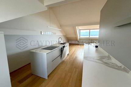 Sublime duplex rénové vue imprenable sur le lac Léman 1/5