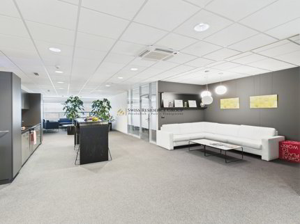 Riedmatt Center - Repräsentative Büroflächen mit optimaler Infrastruktur 1/5
