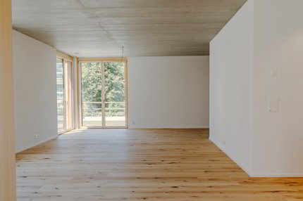 Appartement de 4.5 pièces en vente à Goldach - 170 m² 1/5