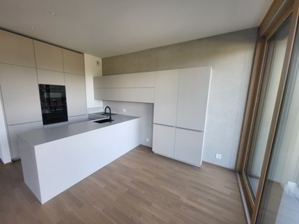 Appartement à louer, Chêne-Bourg (Chêne-Bourg, Suisse) 1/5