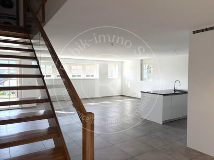 Duplex de charme en seins d'une ferme entièrement rénovée 1/5