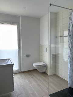 Appartement de 1.5 pièces en location à Widnau - 45 m² 1/5