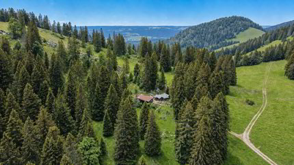 Alpenhütte mitten in der Natur 1/5