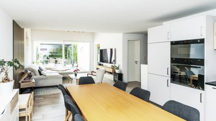 A VENDRE MAGNIFIQUE VILLA 4.5 PCES A SAILLON 1/5