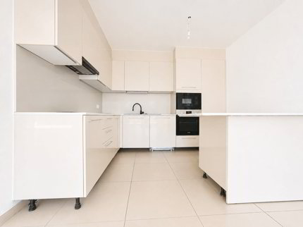 Villa de 5.5 pièces avec terrasse et jardin 1/5