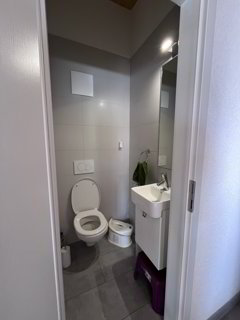 Lumineux appartement de 3.5 pièces en attique à Fully 1/5