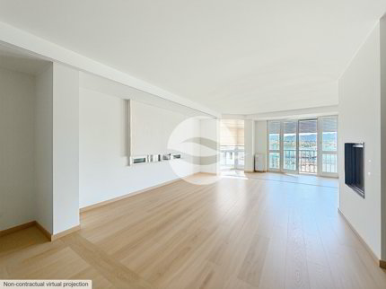 Wunderschönes, geräumiges Apartment mit Seeblick und Blick auf den Jet d’Eau! 1/5