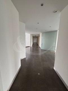 Rue Adrien-Lachenal 26, surface commerciale de 300m² 1/1