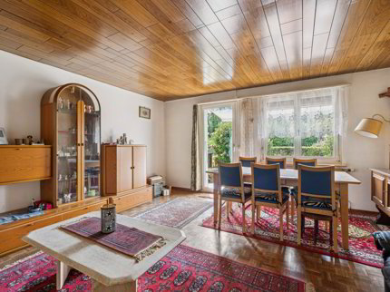 Maison de 5 pièces en vente à Wangen bei Olten - 94 m² 1/5