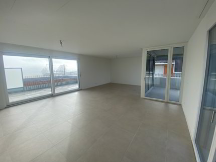 Neuwertige grosse 3,5-Zimmer-Attikawohnung 1/5