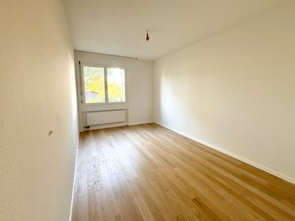 Frisch renovierte 4.5-Zimmer-Wohnung in Albisrieden 1/5