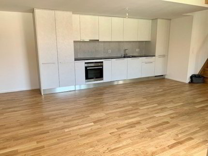 Magnifique loft avec mezzanine à Lausanne ! 1/5