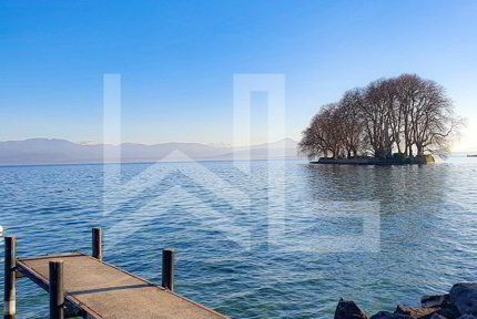 undefined 1/1