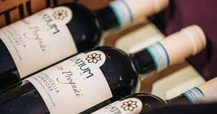 Erfolgreiche Getränke- und Weinhandlung mit Eventgeschäft Kopie 1/1