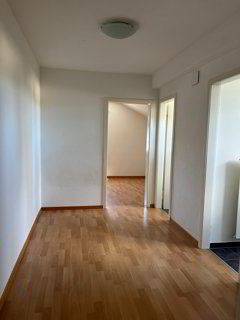 Charmante 1-5 Zimmer-Wohnung in Dübendorf 1/5
