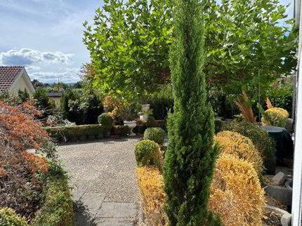 Aussergewöhnliches Wohnen mit Loft - Industrial Charme und eigenem Garten 1/5