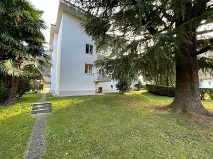 3.5 locali in zona tranquilla 1/5
