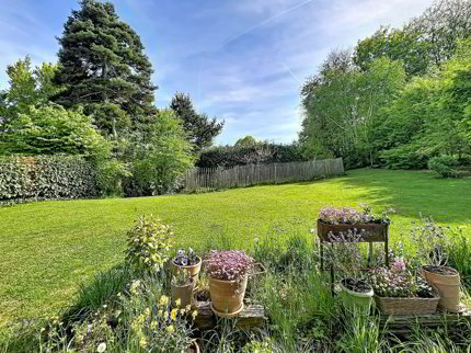 Grand jardin arboré, cadre bucolique 1/5