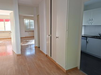 Appartement de 3 pièces en location à Neuhausen 1/5