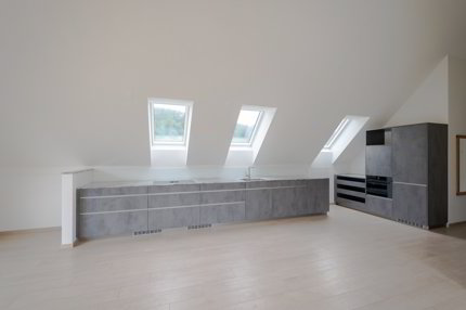 2.5-Zimmer-Dachwohnung im Loft-Style 1/5