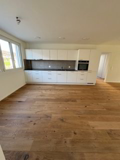 Schöne 4½-Zimmer-Wohnungen zu vermieten 1/5