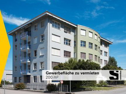 undefined 1/1