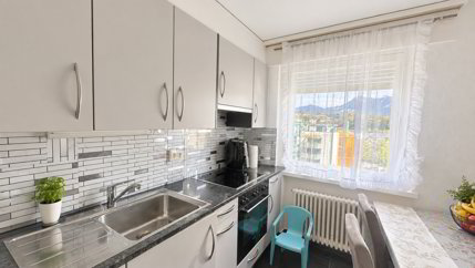 Appartement de 3 1/2 pièces sis au 4ème étage 1/5