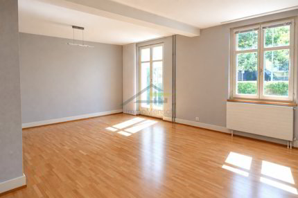 Maison double de 6.5 pièces en vente à Allschwil - 200 m² 1/5
