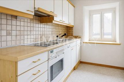 Maison de 17.5 pièces en vente à Gächlingen - 293 m² 1/5