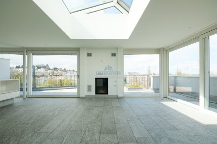 Attika-Maisonette mit unverbaubarem Weitblick über Binningen & Basel 1/5