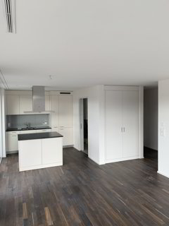 Sonnendurchflutete 3.5 Zimmer-Attika Wohnung sucht neuen Mieter 1/5