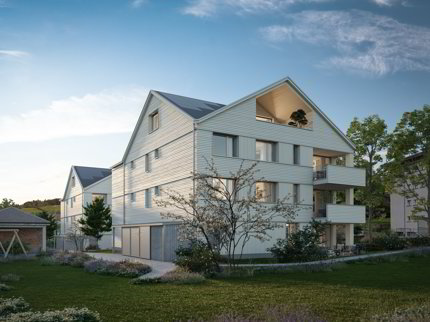 Projektankündigung - Neubau in Heiden 1/3